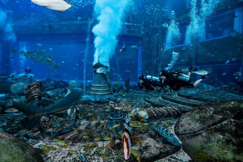 三亚亚特兰蒂斯失落的空间水族馆电话18633570222