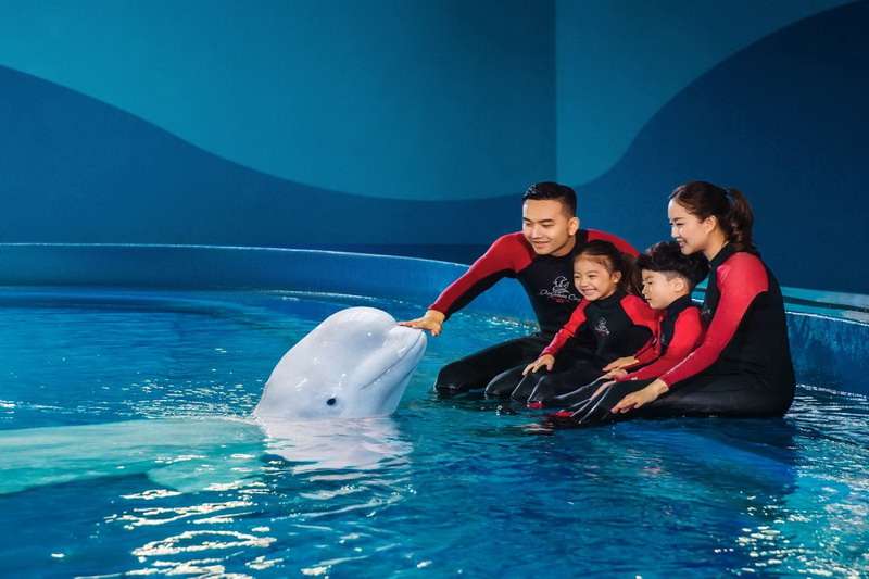 三亚亚特兰蒂斯失落的空间水族馆电话18633570222