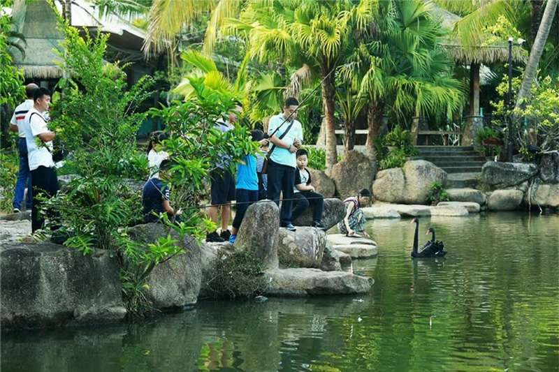 海南呀诺达雨林文化旅游区电话18633570222