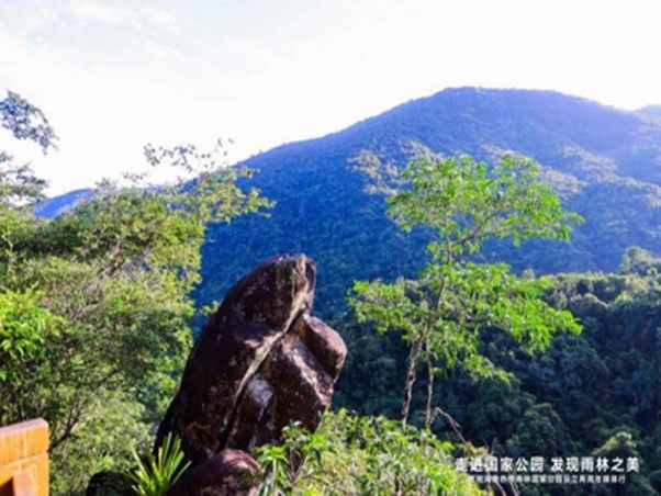 海南三亚环岛旅游线路，海南三亚热带雨林旅游线路，海岸三亚文化旅游，海南三亚美食旅游，海南三亚网红旅游