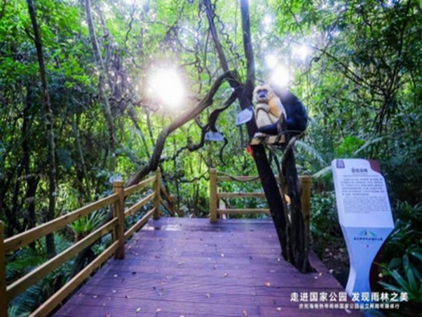 海南三亚环岛旅游线路，海南三亚热带雨林旅游线路，海岸三亚文化旅游，海南三亚美食旅游，海南三亚网红旅游